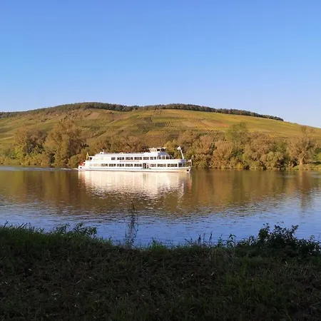 公寓 Majestic In 米尔海姆